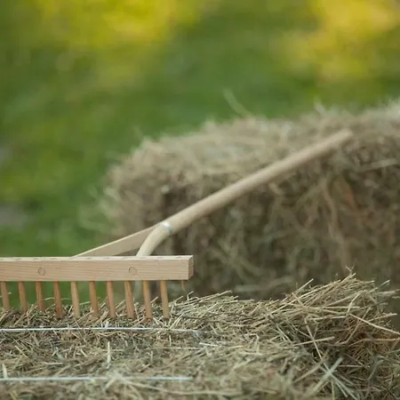 Janezinovi House Gospodarstwo wiejskie *