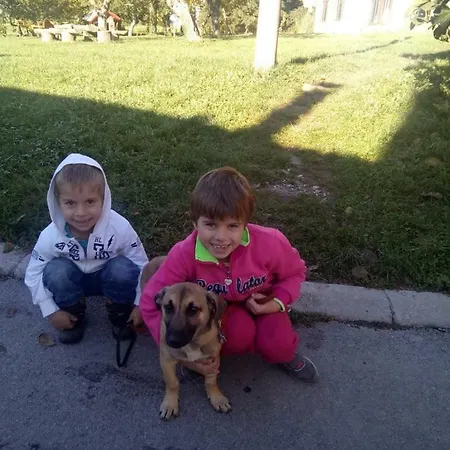 Janezinovi House *