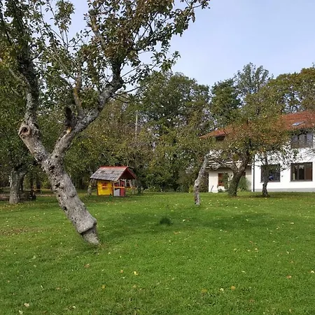 Gospodarstwo wiejskie Janezinovi House *