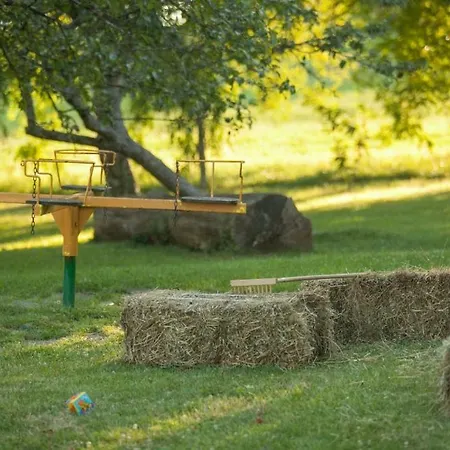 Gospodarstwo wiejskie Janezinovi House *