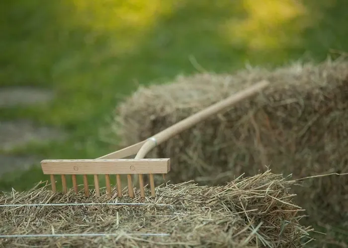 Janezinovi House Landhuis *